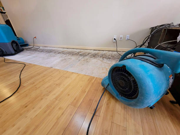 Professional Structural Drying technician working in Travis Afb, CA